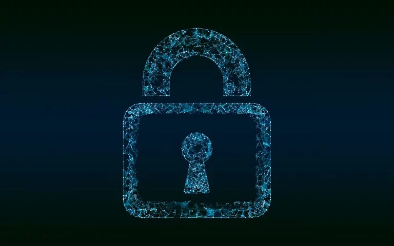 Privacy e conversione del DL Capienze: luci ed ombre